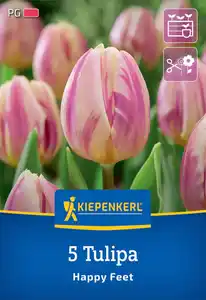 Kiepenkerl Herbstblumenzwiebel Triumph-Tulpe Happy Feet 5 Stück