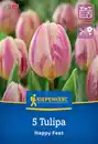 Bild 1 von Kiepenkerl Herbstblumenzwiebel Triumph-Tulpe Happy Feet 5 Stück