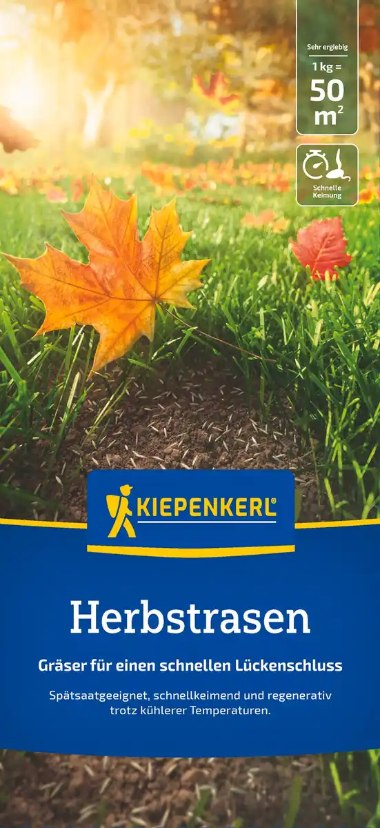 Bild 1 von Kiepenkerl Saatgut Kiepenkerl Herbstrasen 1 kg für ca. 50 m²