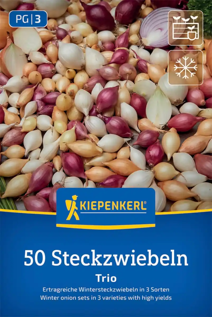 Bild 1 von Kiepenkerl Wintersteckzwiebel Trio-Mix 50 Stück