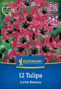 Bild 1 von Kiepenkerl Herbstblumenzwiebel Wildtulpe Little Beauty 12 Stück