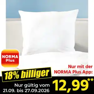 Ortho-Vital Kopfkissen "Thermo Balance Zirbe"