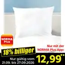 Bild 1 von Ortho-Vital Kopfkissen "Thermo Balance Zirbe"