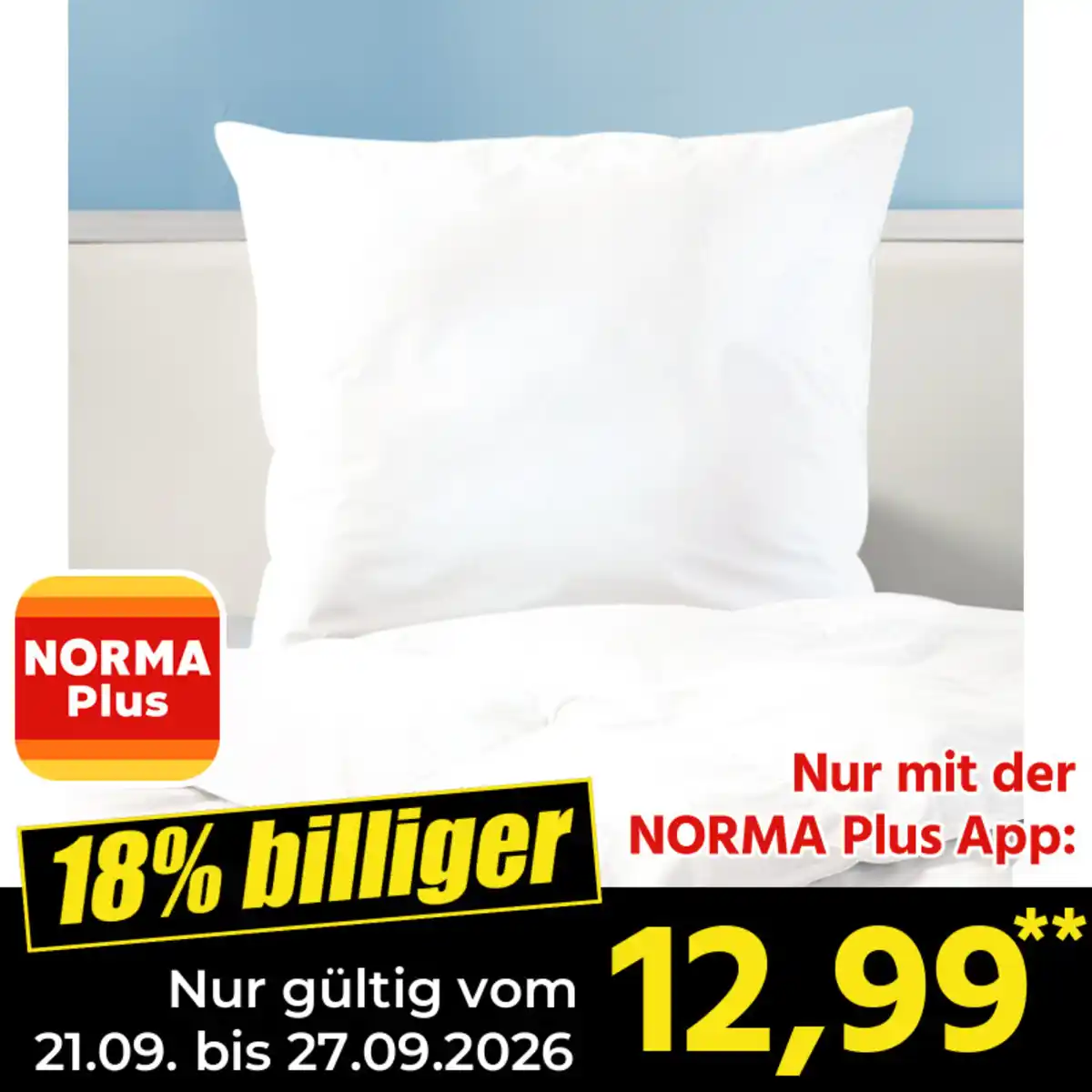Bild 1 von Ortho-Vital Kopfkissen "Thermo Balance Zirbe"