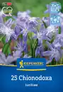 Bild 1 von Kiepenkerl Herbstblumenzwiebel Chionodoxa Schneeglanz 25 Pflanzen