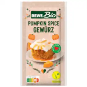 REWE Bio Pumpkin Spice Gewürz