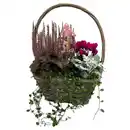 Bild 1 von GARDENLINE Henkelkorb, Eckig
