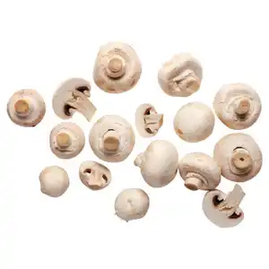 BESTES AUS DER REGION Champignons weiß 400 g