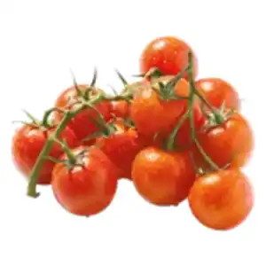 GO BIO Mini Roma Tomaten