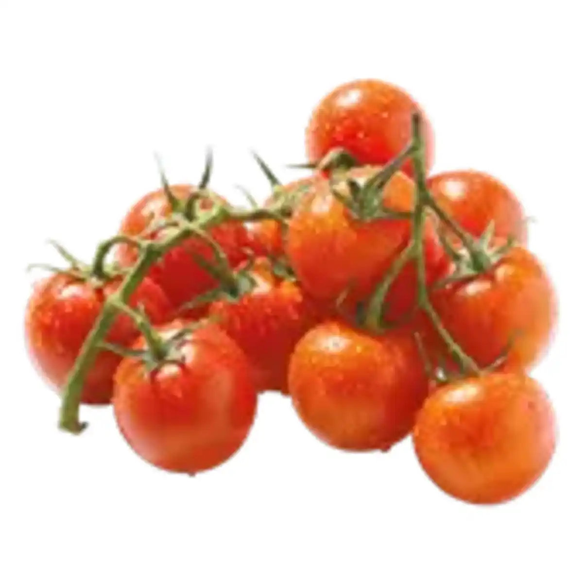Bild 1 von GO BIO Mini Roma Tomaten