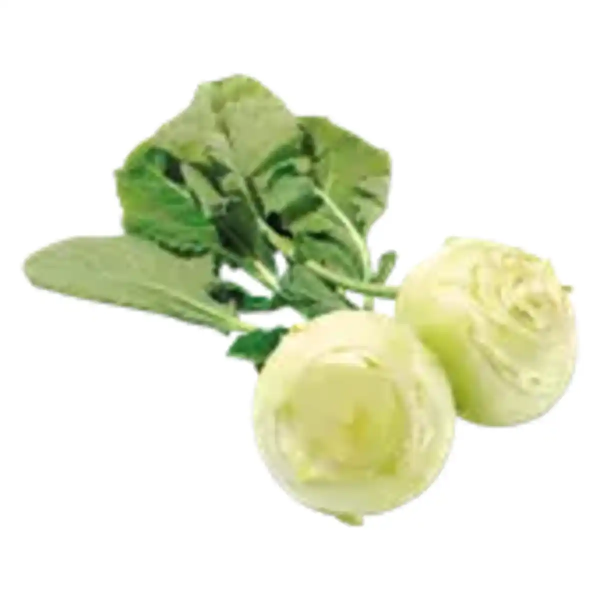 Bild 1 von Kohlrabi