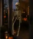 Bild 1 von Halloween Deko-Skelett