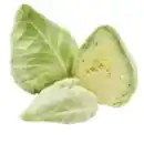 Bild 1 von GO Regio Deutscher Spitzkohl
