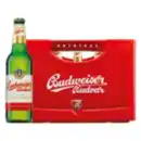 Bild 1 von Budweiser Budvar Premium Lager