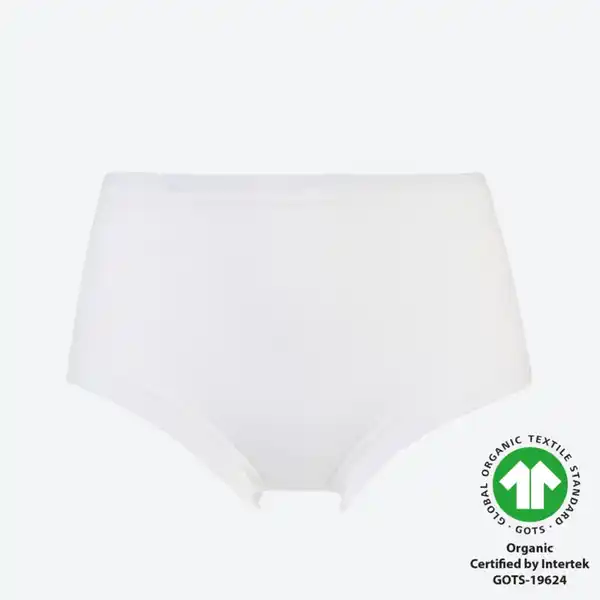 Bild 2 von Damen-Taillenslip, NKD-NELE