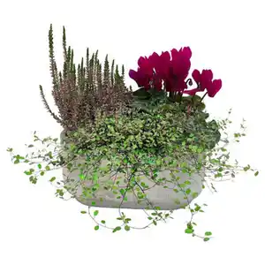 GARDENLINE Betonschale oval
