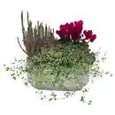 Bild 1 von GARDENLINE Betonschale oval