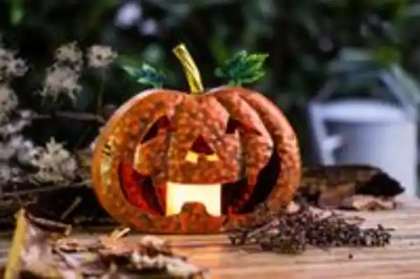 Bild 2 von I-Glow LED Outdoor Dekokürbis "SPOOKY"