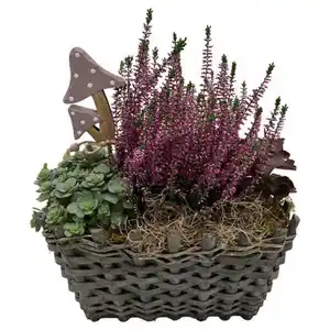 GARDENLINE Korb oder Rindengefäß, Korb eckig