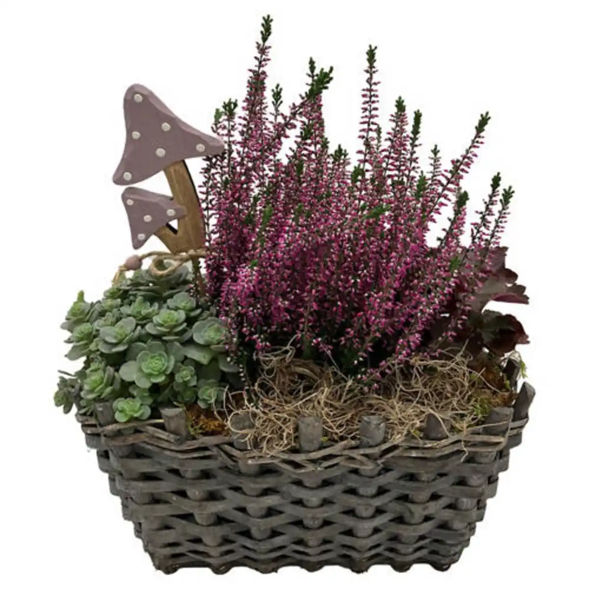 Bild 1 von GARDENLINE Korb oder Rindengefäß, Korb eckig
