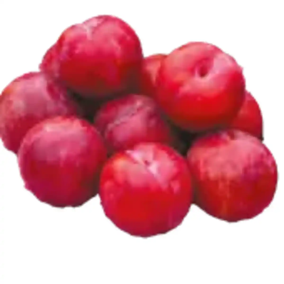 Bild 1 von Pflaumen Rot