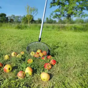 Powertec Garden XL-Rollsammler