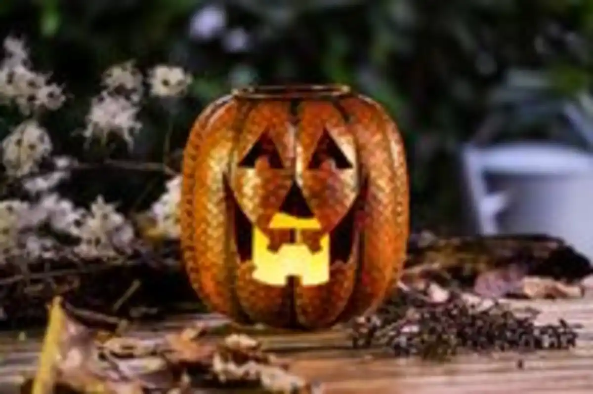Bild 3 von I-Glow LED Outdoor Dekokürbis "SPOOKY"