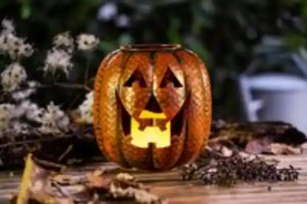 Bild 3 von I-Glow LED Outdoor Dekokürbis "SPOOKY"