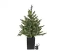 Bild 1 von LED-Weihnachtsbaum »Greyland«