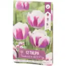 Bild 1 von Tulpenzwiebeln