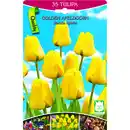 Bild 1 von Tulpen gelb 35 Stück