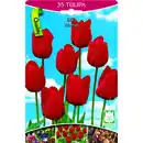 Bild 1 von Tulpen rot 35 Stück