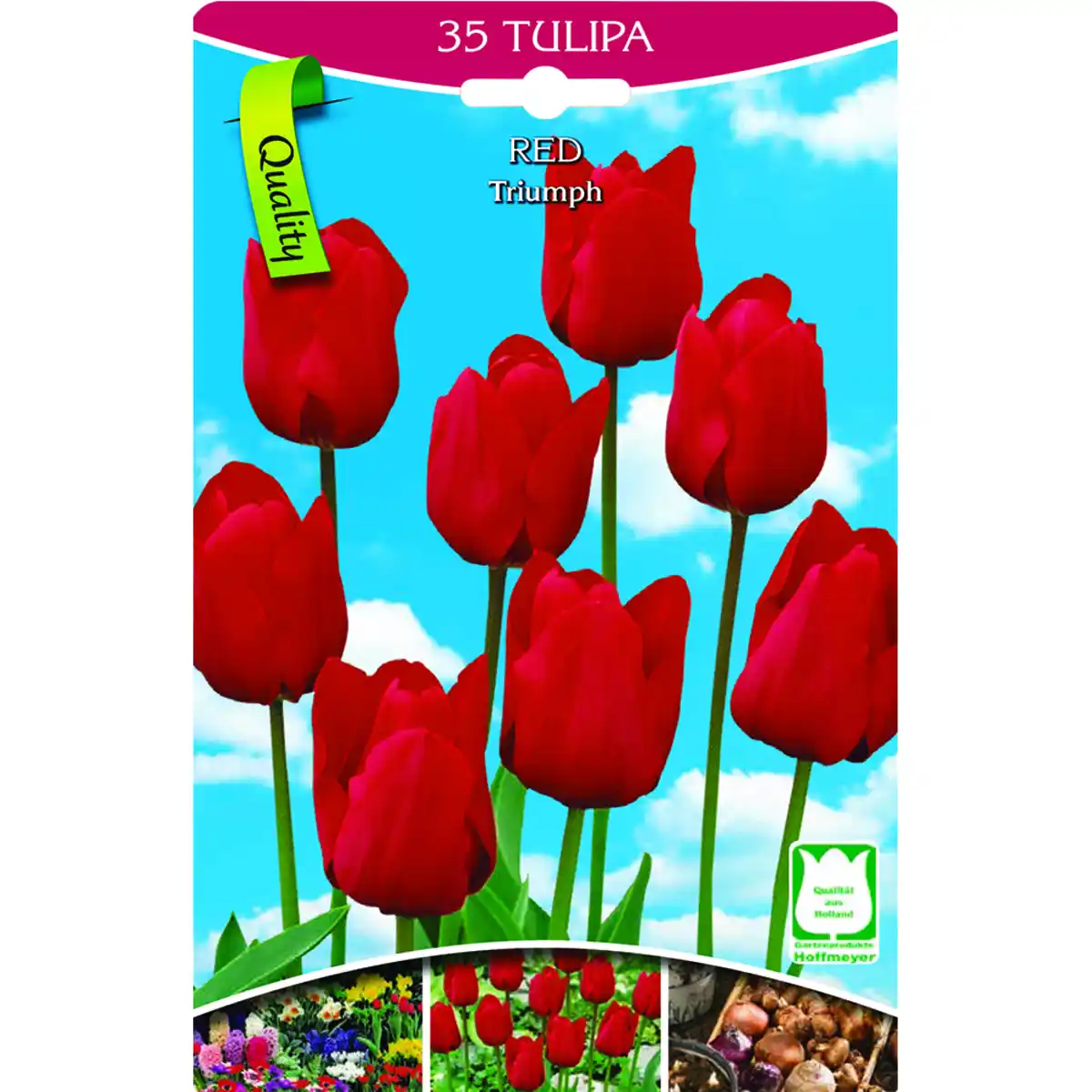 Bild 1 von Tulpen rot 35 Stück