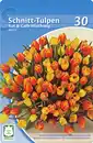 Bild 1 von Schnitt-Tulpen versch. Sorten