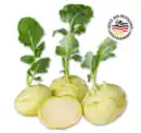 Bild 1 von Deutscher Kohlrabi*