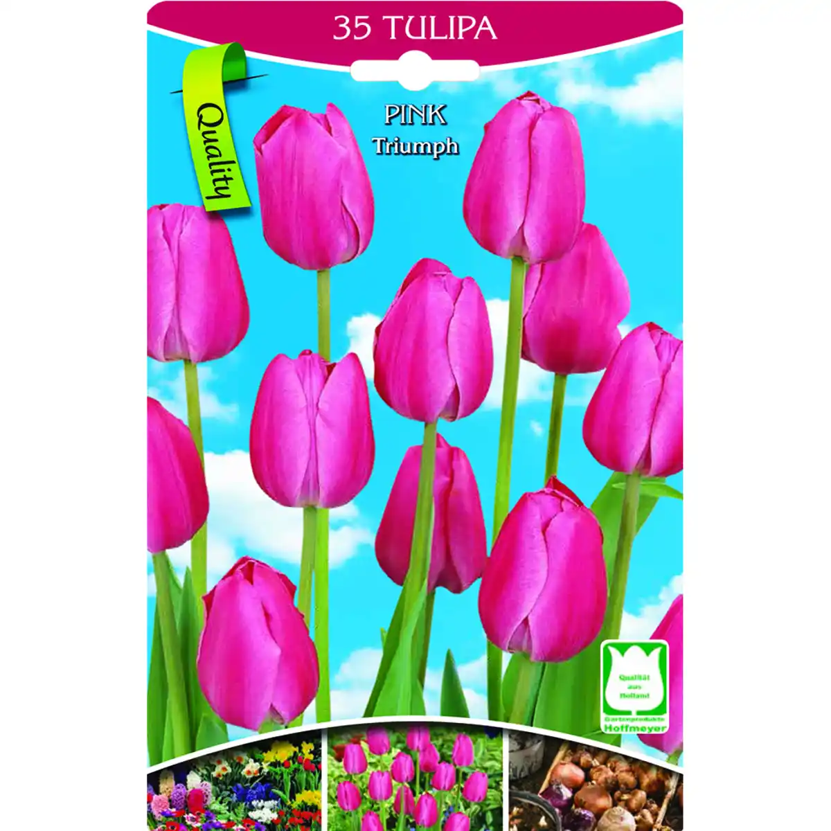 Bild 1 von Tulpen rosa 35 Stück