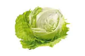 Eisbergsalat