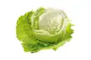 Bild 1 von Eisbergsalat