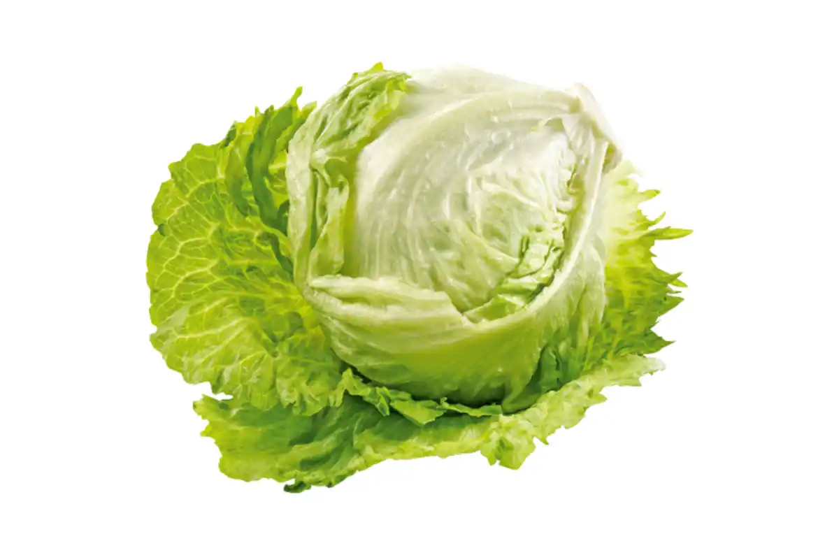 Bild 1 von Eisbergsalat