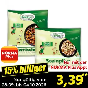 Niklas Pilze