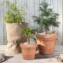 Bild 1 von Powertec Garden Wollfilz-Winterschutz