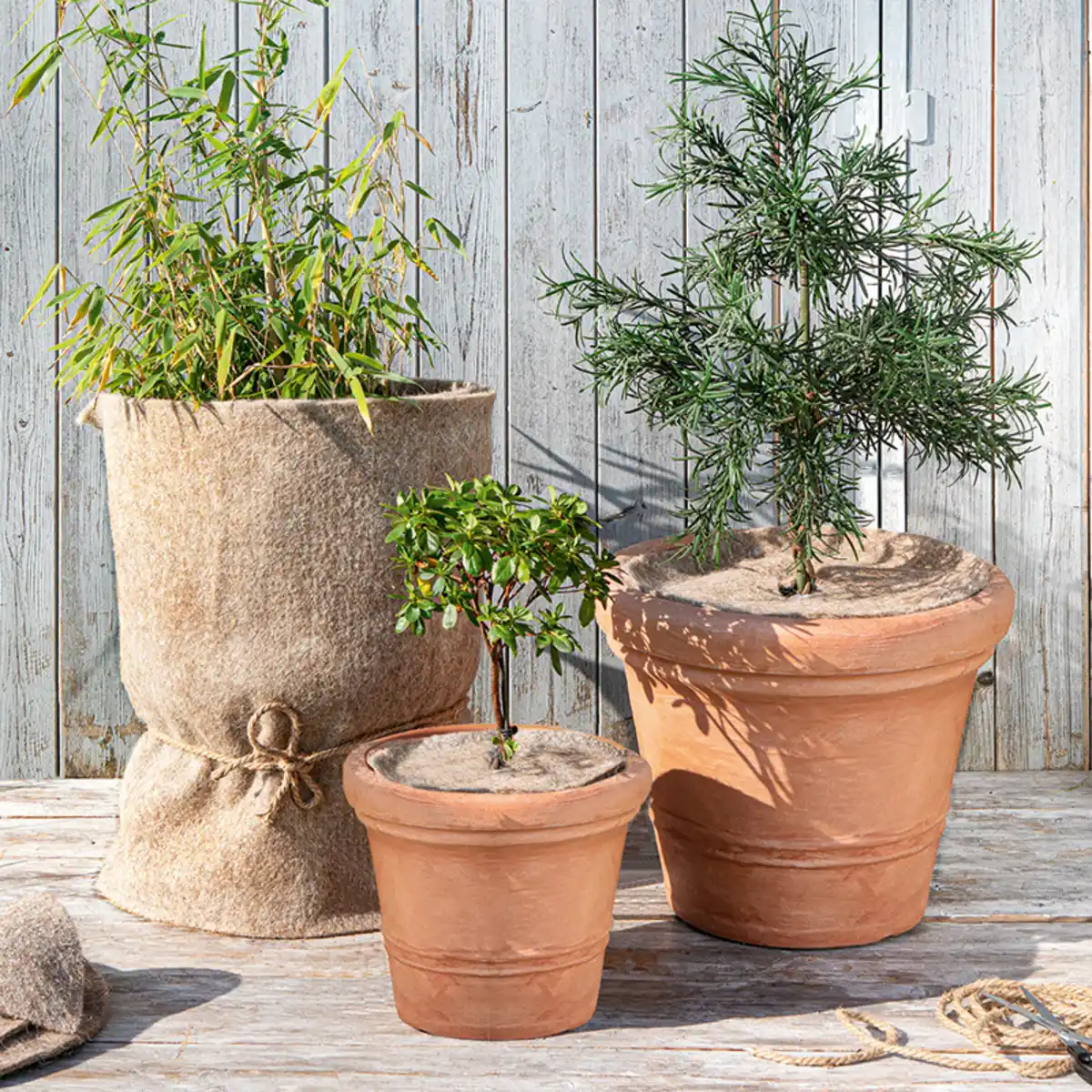 Bild 1 von Powertec Garden Wollfilz-Winterschutz