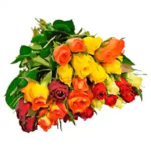 Fairtrade Rosen »Trio«, »Duo« oder »Jahreszeiten«