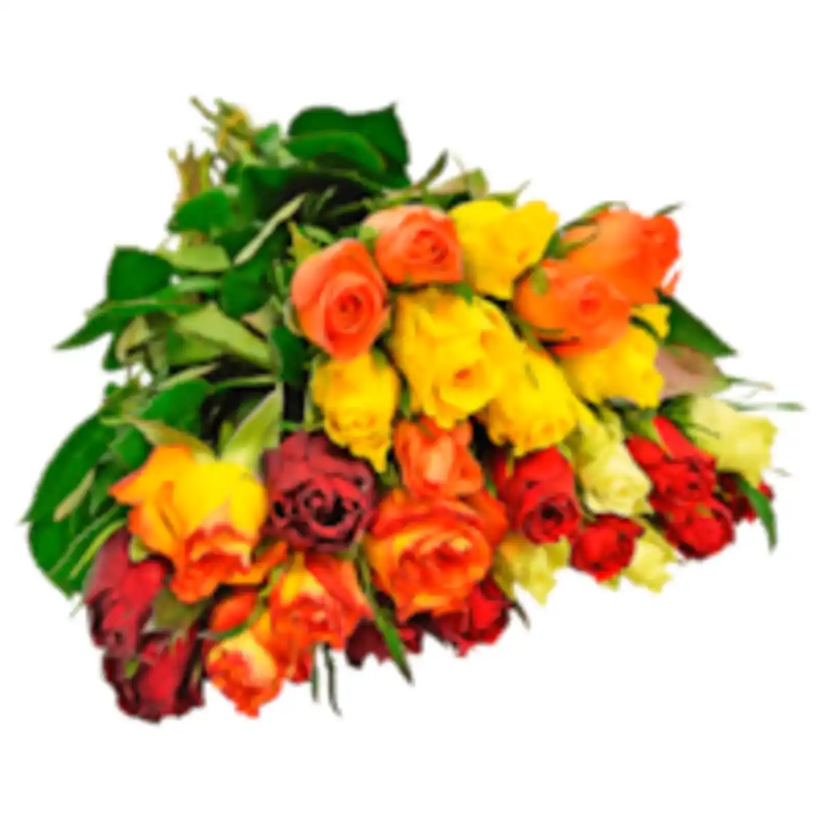 Bild 1 von Fairtrade Rosen »Trio«, »Duo« oder »Jahreszeiten«