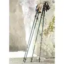 Bild 1 von Topfit Faltbare Wander-Tourenstöcke