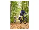 Bild 2 von CRIVIT Herren Lightweightjacke