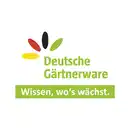 Bild 2 von GARDENLINE Calocephalus mit Muehlenbeckia