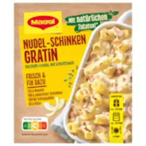 Maggi Fix Nudel-Schinken Gratin
