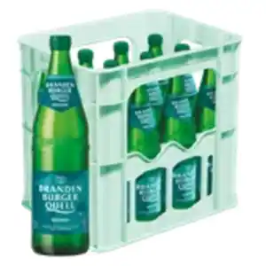 Brandenburger Quell Mineralwasser medium