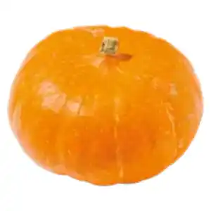 Deutscher Hokkaido Kürbis